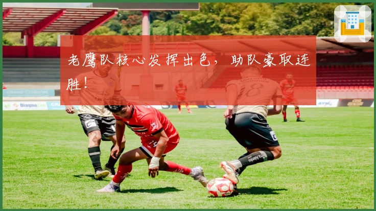 老鹰队核心发挥出色，助队豪取连胜！